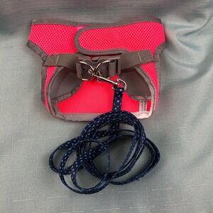Neon Pink Mesh Pet Harness and Polka Dot Leash Set Small Dog Cat Reflective Trim